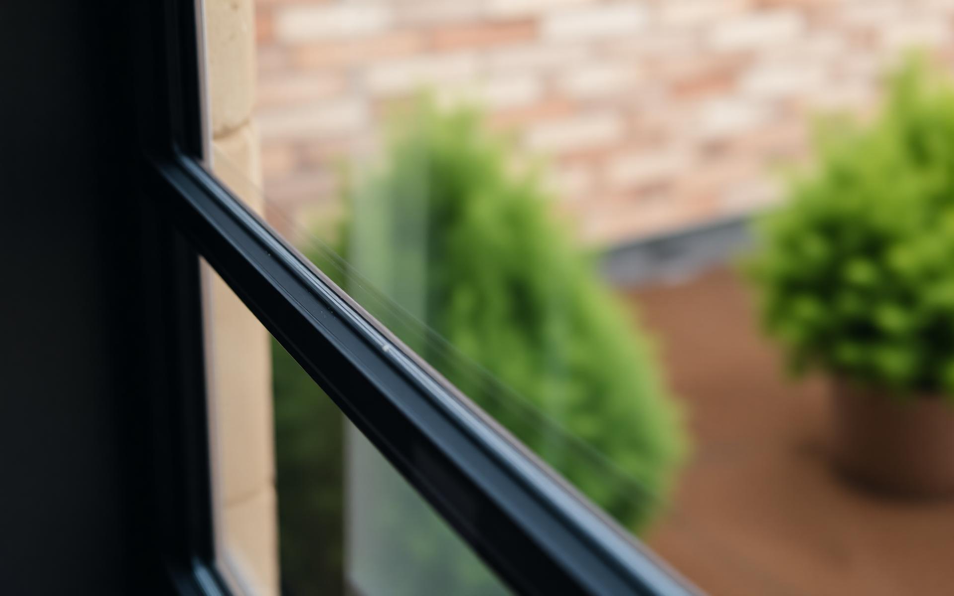 Close detail of a slim architectural window frame against garden foliage